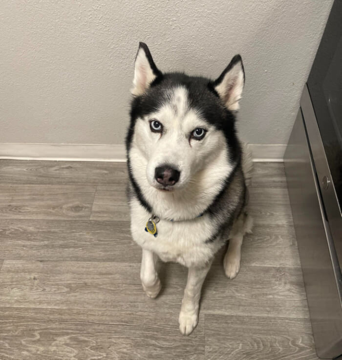 6. “Just adopted this 6-year-old boy, he needs a name.”