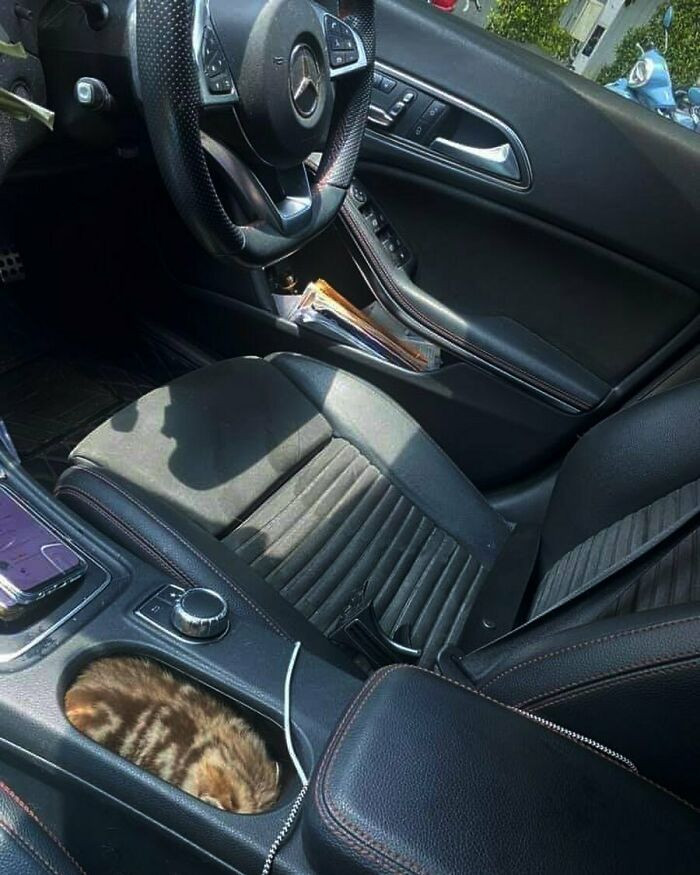 28. Just like I said above...