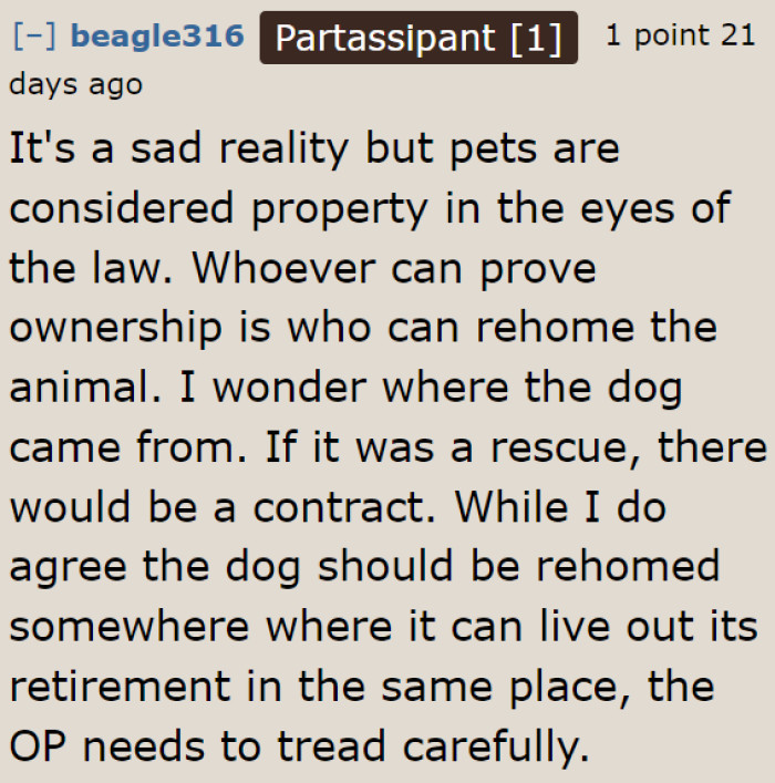 It's the real owner who can decide for the dog.