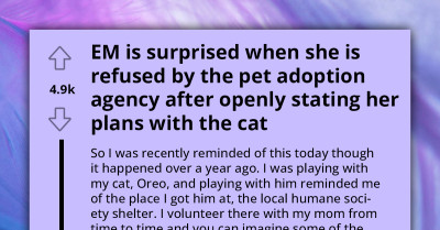 Woman Gets Furious as Her Adoption Request Gets Declined After She Revealed Her Cruel Intentions for the Cat