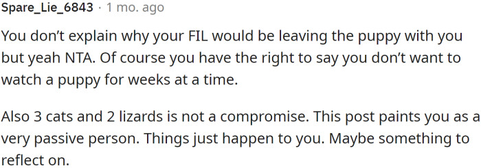 OP has the right to say he doesn’t want to watch a puppy for weeks at a time.