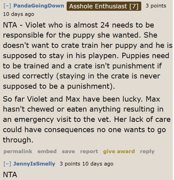 The stepdaughter needs to be more responsible about her puppy because it might destroy other important things in the future.