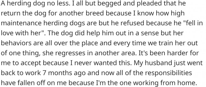 And her husband chose a herding dog. She tried to convince him out of it, knowing how much work they need. but he had his mind set on this breed.