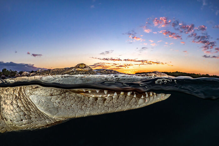 Finalist Adventure Photographer Of The Year 2021 - Tanya Houppermans