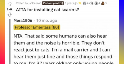 Man Forced To Install Cat Scarers After His Neighbor's Cats Destroyed His Lawn With Feces Gets Yelled At Because They Started Pooing In Their Owner's House