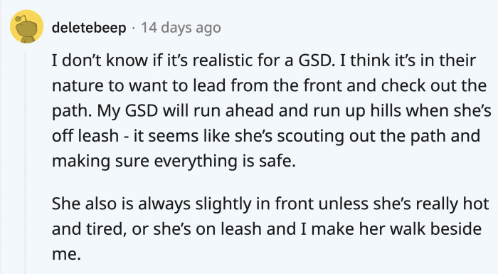 Someone pointed out that OP’s GSD mix’s behavior is understandable...