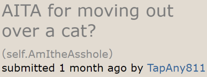 A man asked an online community about a problem he had with the cats he gifted to and adopted with his girlfriend.