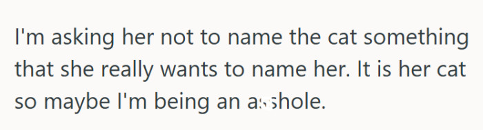 OP has offered the following explanation for why they think they might be the a-hole: