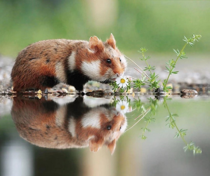 6. Can you see my reflection on the water?