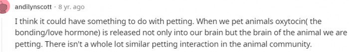 13. It has something to do with petting