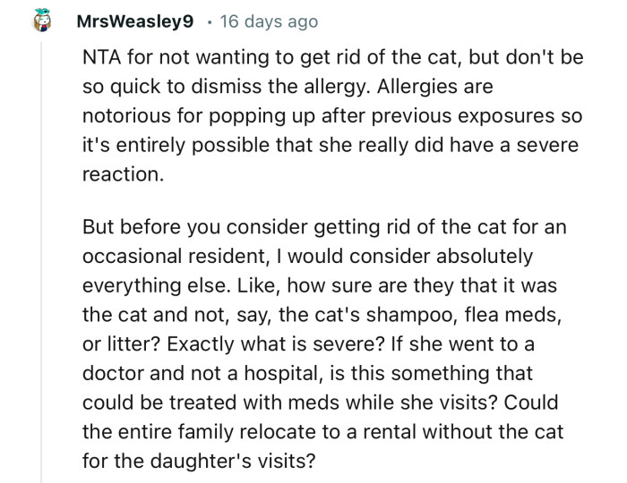 Devoted Cat Parent Clings To Their Beloved Feline Despite Boyfriend’s