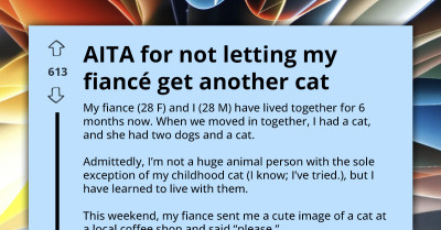 Man Threatens To End Relationship After Fiancée Breaks Agreement And Brings Home A Cat