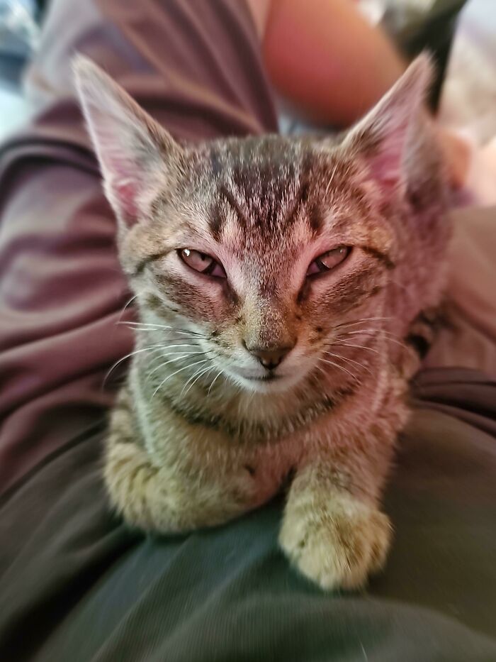 55. She’s not staring into space. She’s communicating with it.