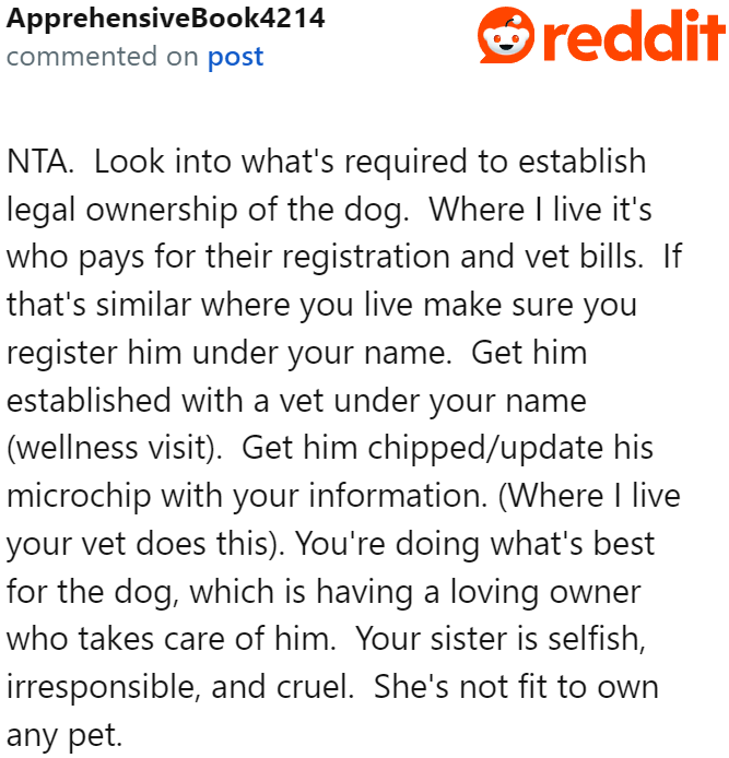 A Redditor suggests chipping it to the OP's name. Her sister doesn't take care of it properly, anyway.