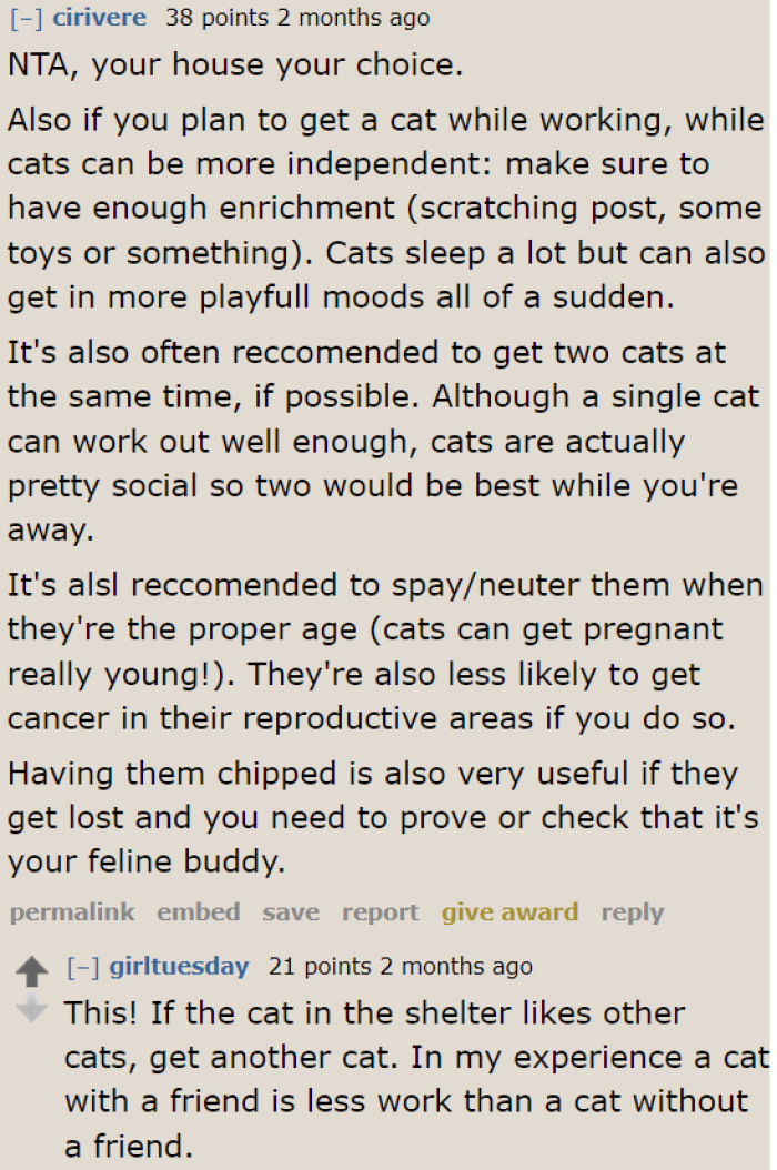 People also started giving the OP tips for when she leaves the house. After all, cats can get bored and lonely without their humans.