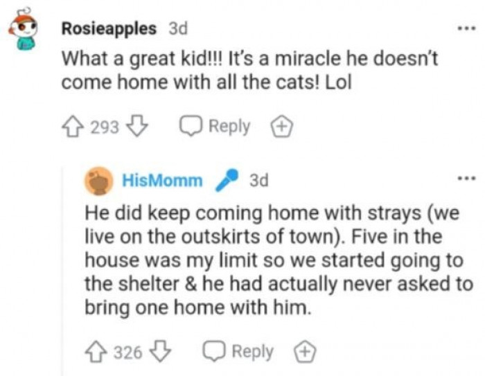 It's a miracle he didn't come home with the cats