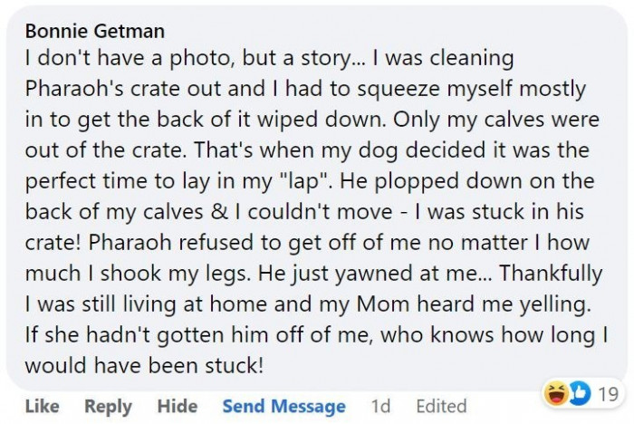 8. The perfect time for a nap