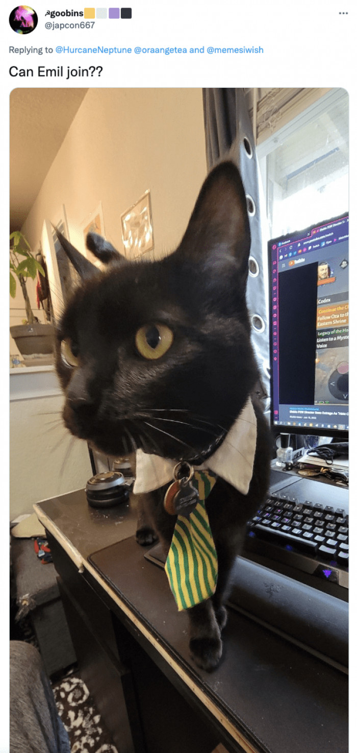 3. This fella is ready to join the party, too! Who else is in?