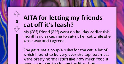 Pet Sitter Lets Cat Outside Without Leash, Upsets Owner Over Safety Concerns