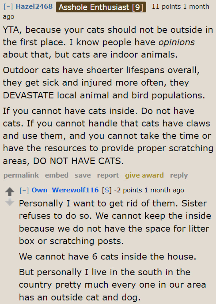 A user explains why cats shouldn't be outside.