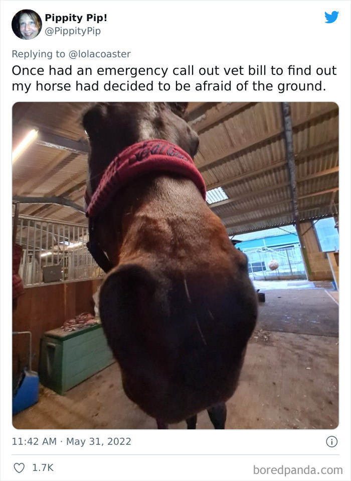 #18 You might wonder what made him decide to fear the ground.