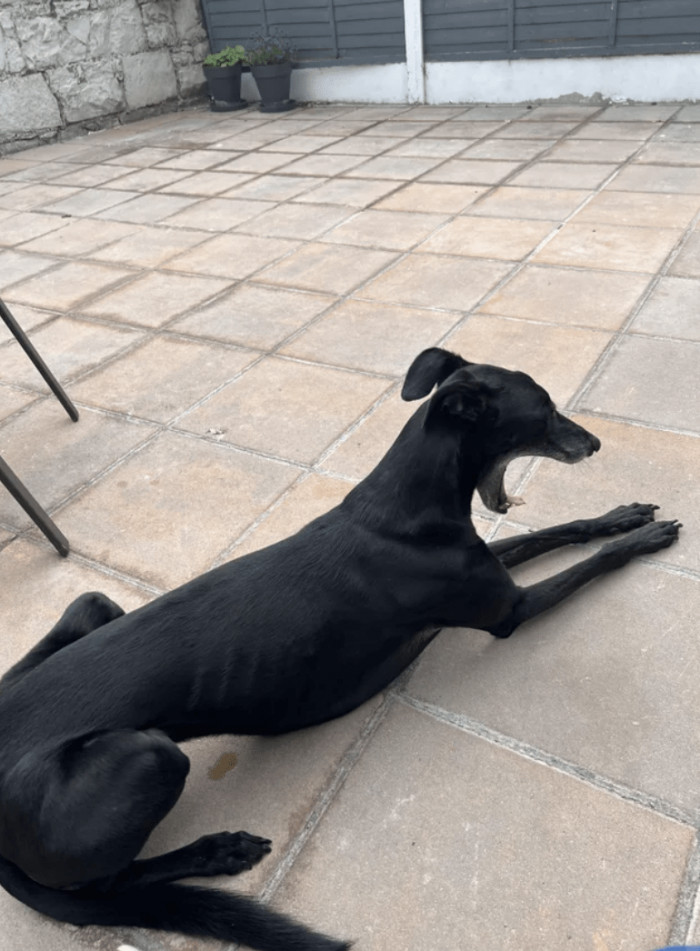 10. What to do when boredom is killing you?