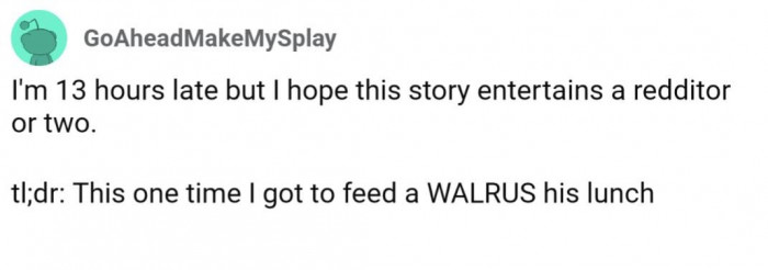 And a Redditor shared their own incredible walrus story