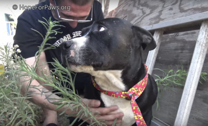 “I feel so horrible. I gained his trust, and now I’m backstabbing him.”