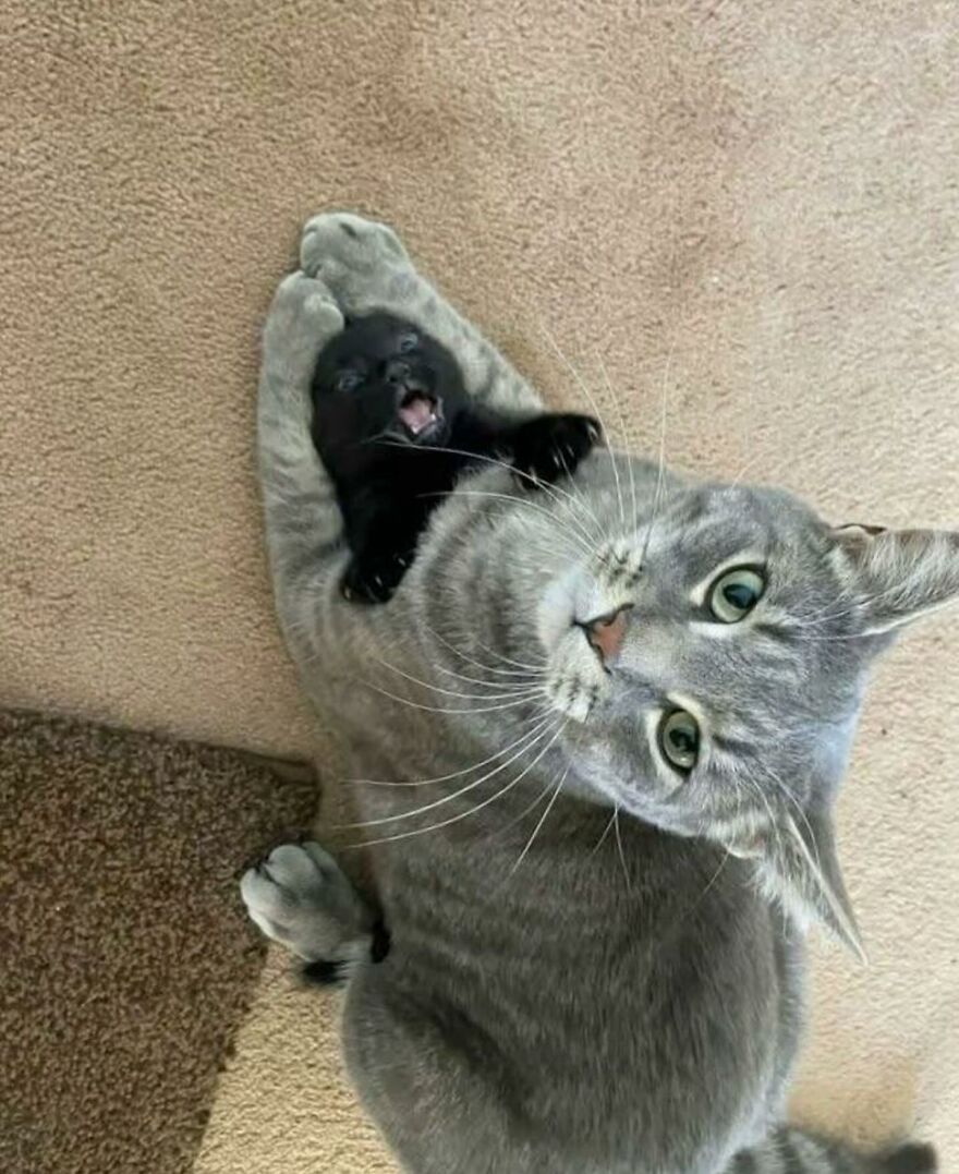 Protective mode: activated.