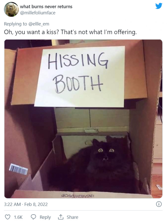 4. Go find it somewhere else, but not here.