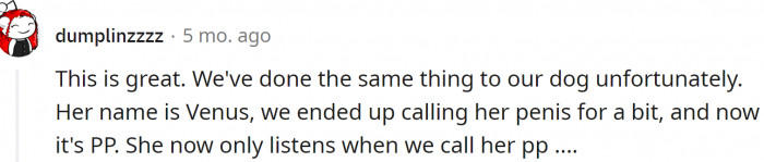 Venus to Penis. Now PP