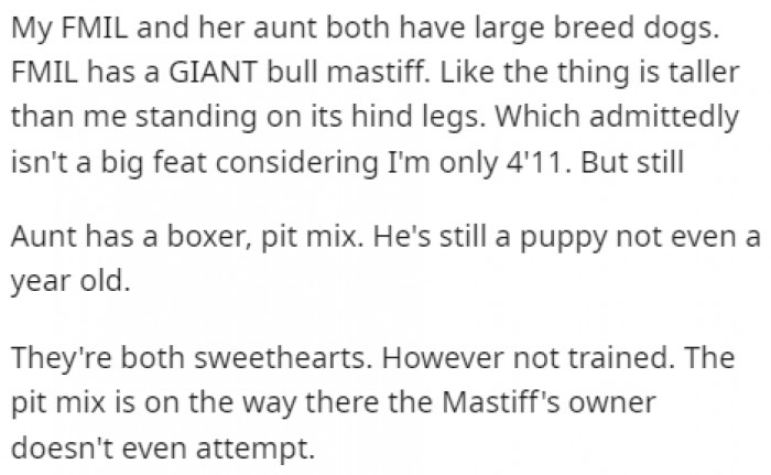 To make matters worse, one of the dogs that is supposed to attend the wedding is a huge and untrained bull mastiff.