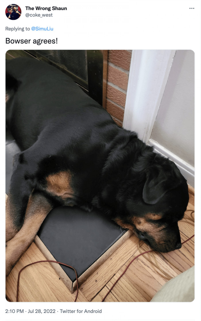 15. Bowser taking a deep nap after a long day at the park.