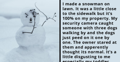 Redditor Builds A Snowman On Their Property, But Neighbor's Dogs Keep Peeing On It