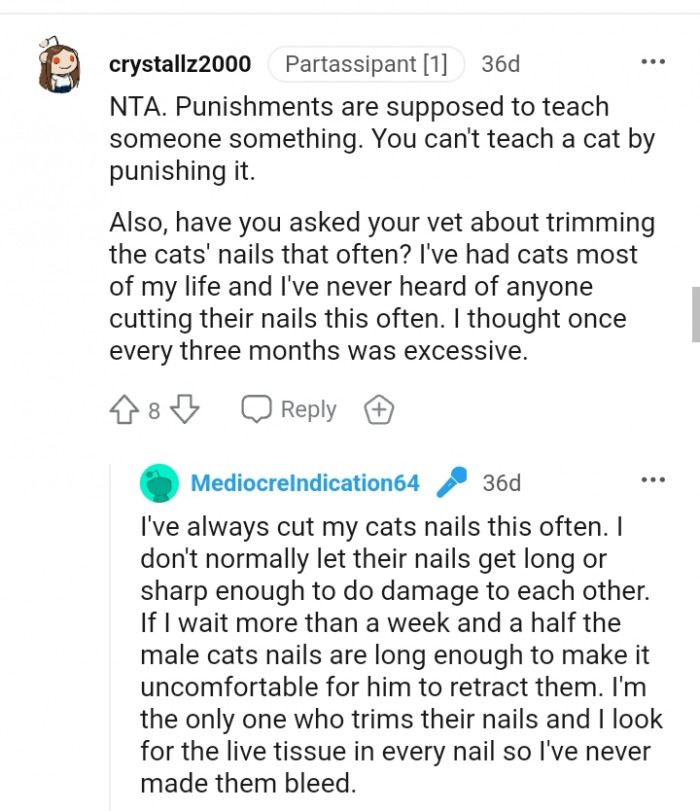You cannot teach a cat by punishing it