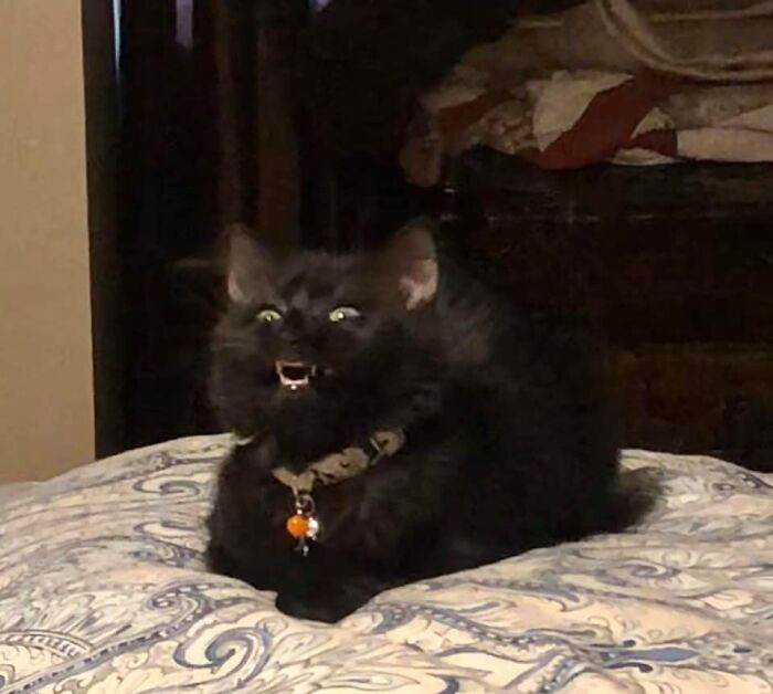 33. Queue evil laughter