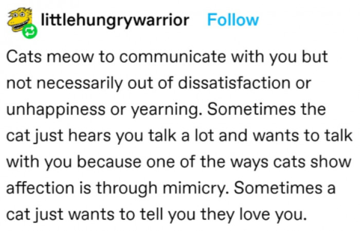 4. Sometimes they just want in