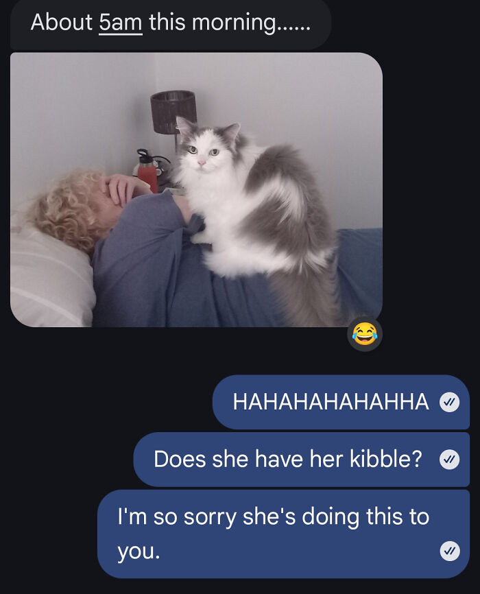 "My Catsitter Sent Me This"