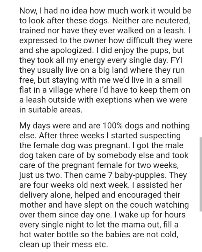 The dogs usually live on a big land where they run free, but staying with the OP, they live in a small flat in a village