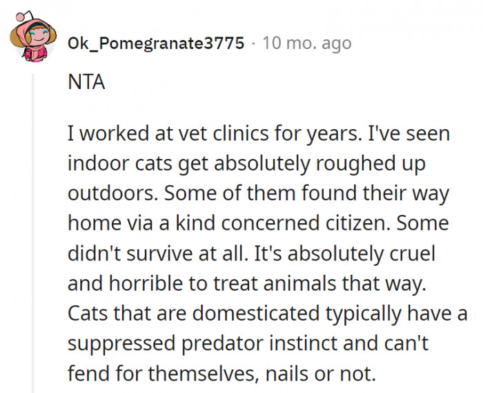 16. Domesticated cats don't have the instincts that their wild ancestors had
