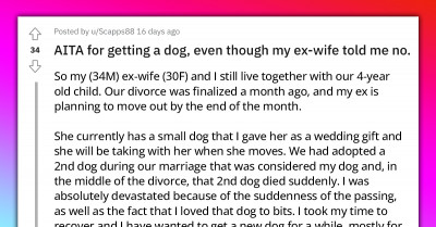 Freshly Divorced Man Insists On Getting A New Dog Even Though His Ex-wife Is Against It