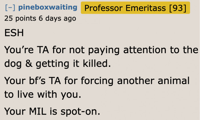 The only person who's correct is the boyfriend's mom.