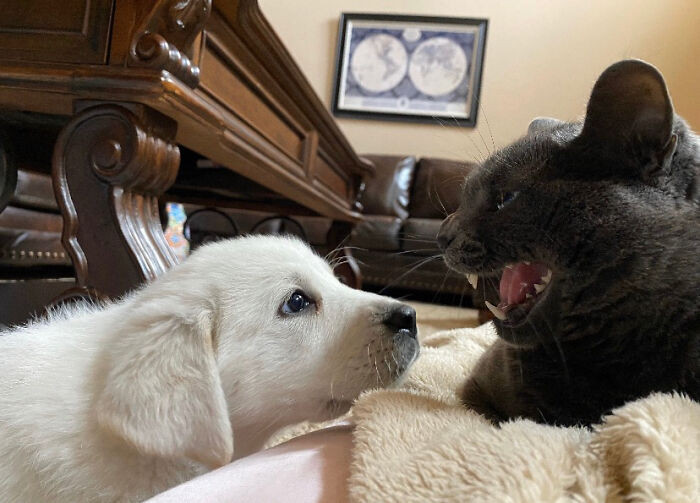 27. Fire And Brimstone