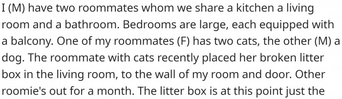 OP lives with two roommates. One of them has a dog, while the other has two cats.