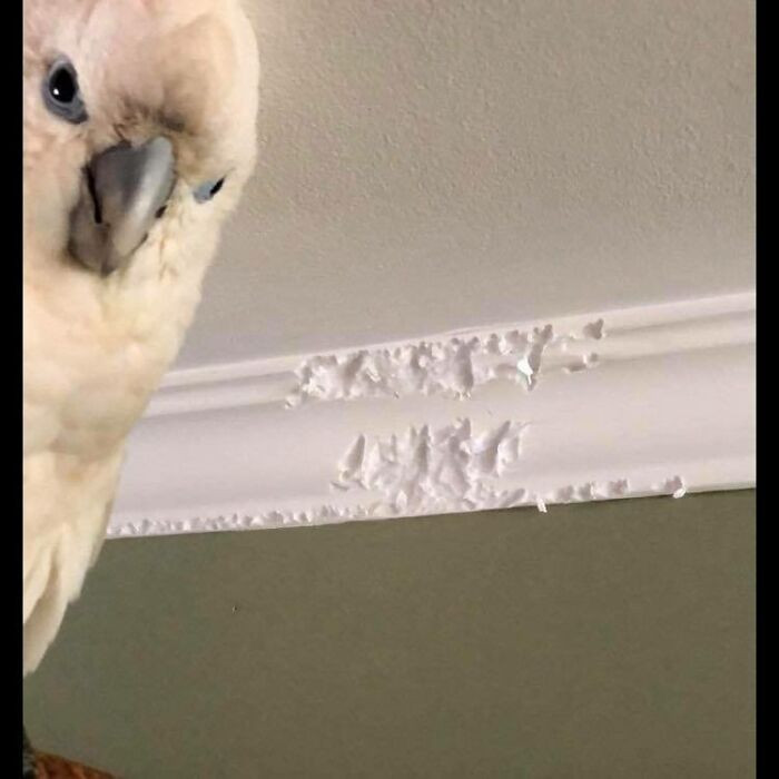 33. Because it's there and I can...