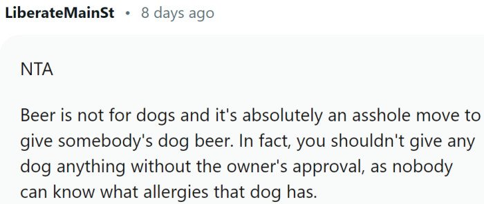 Beer is not for dogs and it's absolutely an a-hole move