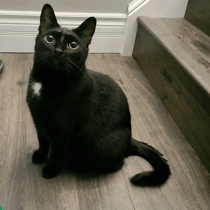 14. The look its owner gets after coming from a night-shift job.