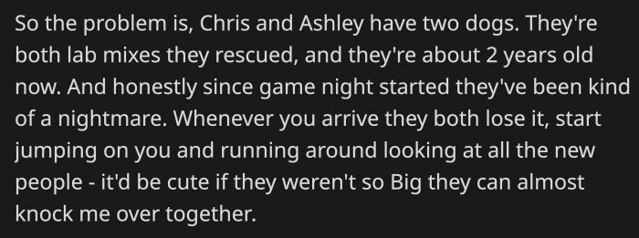 OP is a Cat Owner While Chris and Ashley Are Not; It Would Be Fine, but the Dogs Were Being Disruptive