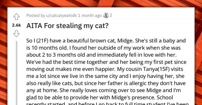 Lady Breaks Into Her Cousin’s House To Steal Back Cat That Was Taken From Her Without Permission