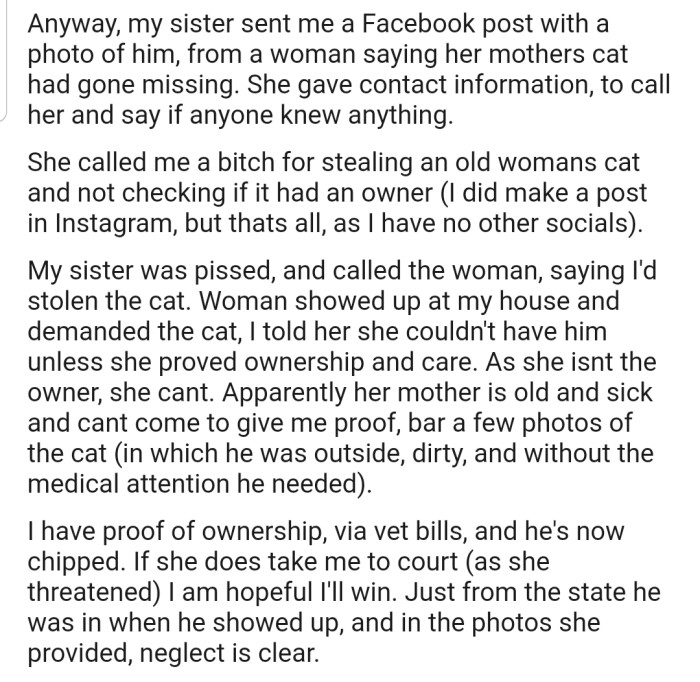 It wasn't long before their sister accused them of stealing an old woman's cat. She went further to contact the family to come and claim the cat from OP's house. However, OP refused to release the cat due to the neglect it had suffered